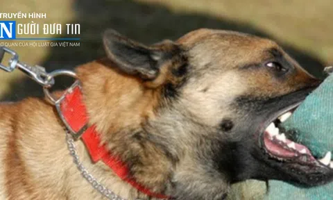 Sơn La: Chủ quan không tiêm phòng, bé trai 11 tuổi tử vong vì chó dại cắn