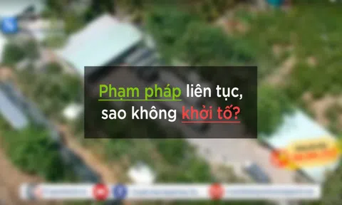 Phạm pháp liên tục, sao không khởi tố?