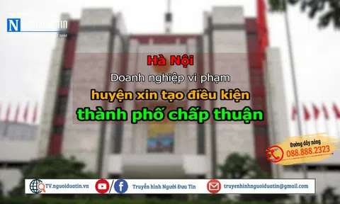 Thạch Thất, Hà Nội: Doanh nghiệp vi phạm, huyện “tạo điều kiện”, thành phố "gật đầu"