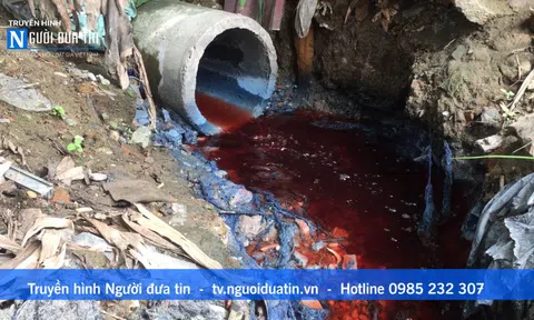 (Bài 2) Hoạt động huỷ hoại môi trường ở Hoàng Mai, Hà Nội: Ngụy trang bằng hàng chuối xanh tự lập