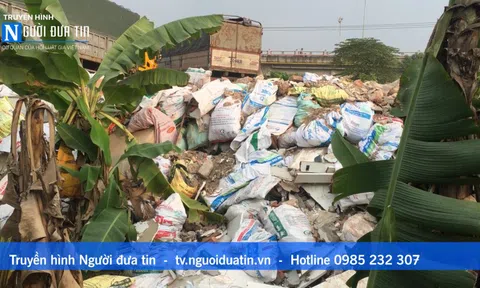 (Bài 4) Hoạt động huỷ hoại môi trường ở Hoàng Mai, Hà Nội: Hàng ngàn m2 đất nông nghiệp thành bãi tập kết rác thải