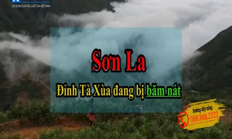 Đỉnh Tà Xùa (Sơn La) đang bị "băm nát", chính quyền địa phương ở đâu?