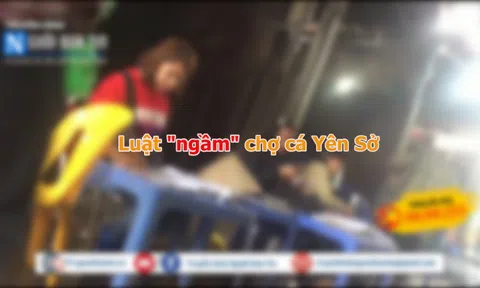 "Bóng tối" chợ đầu mối: "Luật ngầm" chợ cá Yên Sở