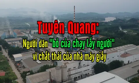 Nhà máy gây ô nhiễm môi trường ở Tuyên Quang: Trâu bò còn tuột da, người sống kiểu gì?