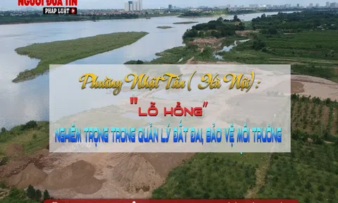 Phường Nhật Tân (Hà Nội): Đất đai, môi trường bị xâm hại, chủ tịch phường ở đâu?