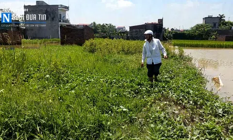 Thu hồi, đền bù đất ở Hà Đông, Hà Nội: Lý đó, tình đâu?