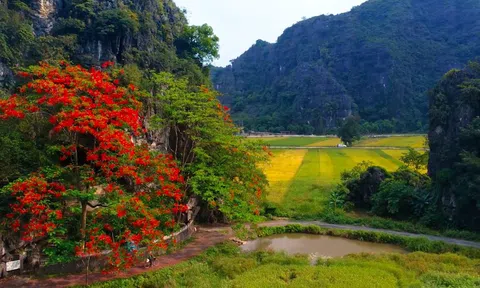 Vẻ đẹp huyền ảo của Tam Cốc, Bích Động - Ninh Bình