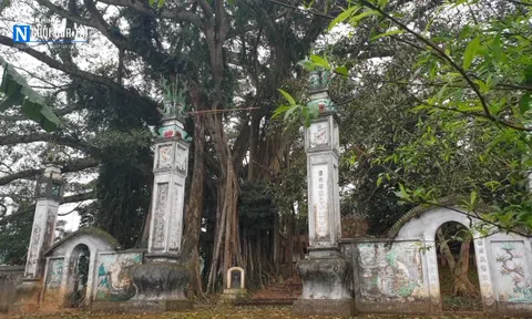 Đền thờ Tản Viên Sơn Thánh - Ngàn năm cổ kính