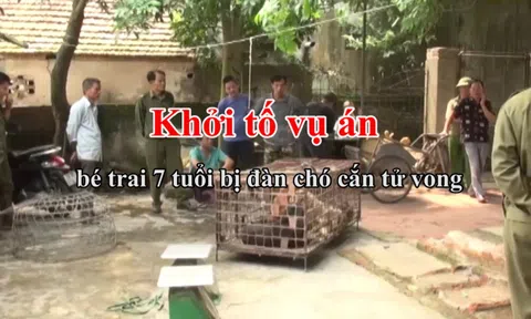 Khởi tố vụ án bé trai 7 tuổi bị đàn chó cắn tử vong ở Hưng Yên