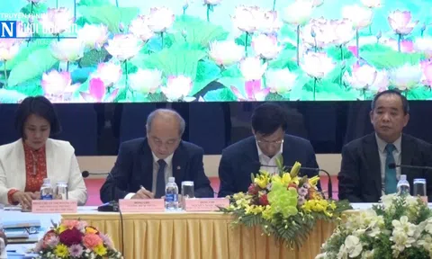 Hà Nội: Tổng kết 2 năm triển khai chương trình bơi an toàn, phòng chống đuối nước trẻ em 