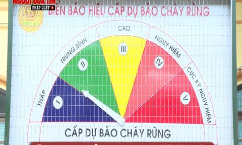 Ninh Bình chủ động phòng chống cháy rừng mùa nắng nóng