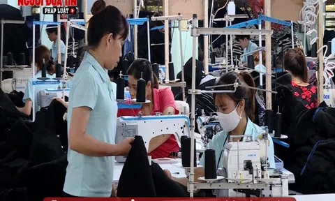 Tháo gỡ khó khăn, giải quyết việc làm cho người lao động sau dịch Covid-19