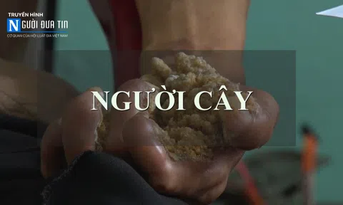 "Người cây"