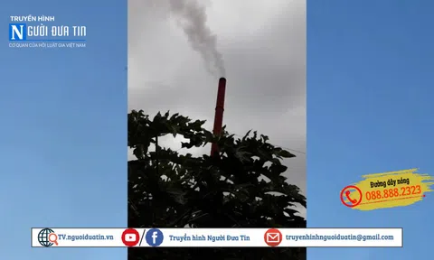 Sau phản ánh của Truyền hình Người Đưa Tin: Chủ tịch huyện Ba Vì chỉ đạo xử lý