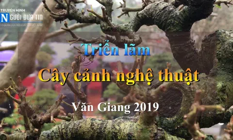 "Tuyệt sắc cây cảnh" tụ hội hưởng ứng Tết trồng cây 