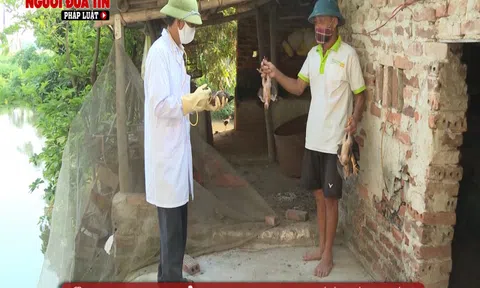 Ninh Bình phòng chống dịch cúm gia cầm H5N6