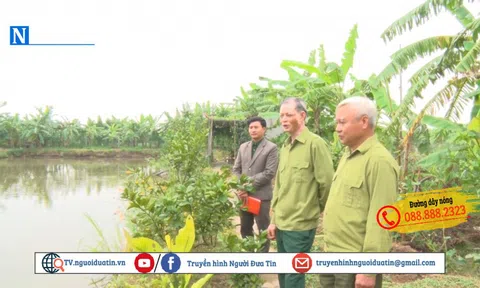 Cựu chiến binh Ninh Bình phát huy truyền thống “Bộ đội cụ Hồ” trong thời kỳ mới 
