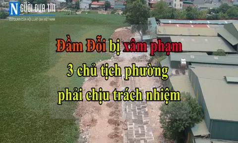 Hà Nội: Đầm Đỗi bị “bức tử”, ba chủ tịch phường chịu trách nhiệm gì? 