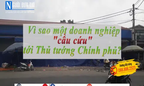 Vì sao một doanh nghiệp "cầu cứu" tới Thủ tướng Chính phủ? 