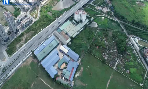 Hà Nội thanh tra toàn diện dự án của Công ty TNHH thực phẩm Thông Tấn