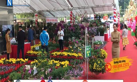 Hà Nội: Tôn vinh nghệ nhân, chủ trang trại và nhà vườn tiêu biểu toàn quốc 