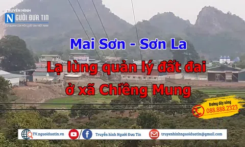 (Bài 1) Huyện Mai Sơn, Sơn La: Nhức nhối tình trạng huỷ hoại đất nông nghiệp ở Chiềng Mung