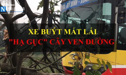 Hà Nội: Xe buýt lao lên vỉa hè, "hạ gục" cây ven đường
