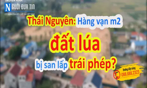 Thái Nguyên: Hàng vạn m2 đất lúa bị san lấp trái quy định?