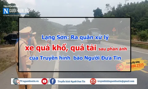 Sau phản ánh của Truyền hình Người Đưa Tin: Cơ quan chức năng tích cực xử lý vi phạm