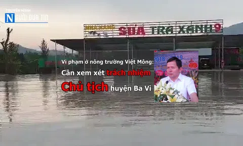 Vi phạm ở nông trường Việt Mông: Cần xem xét trách nhiệm Chủ tịch huyện Ba Vì