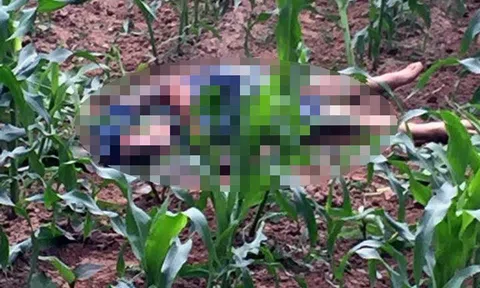 THẠCH THẤT, HÀ NỘI: CẦN SỚM TRUY BẮT Ổ NHÓM CÔN ĐỒ TRUY SÁT 3 THANH NIÊN