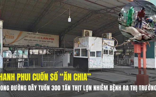 Phanh phui cuốn sổ “ăn chia” trong đường dây tuồn 300 tấn thịt lợn nhiễm bệnh ra thị trường