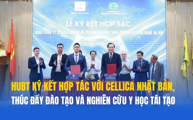 Y học tái tạo và tế bào gốc: Những hướng đi mới trong chăm sóc sức khỏe hiện đại